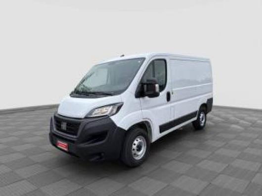 usato FIAT Ducato