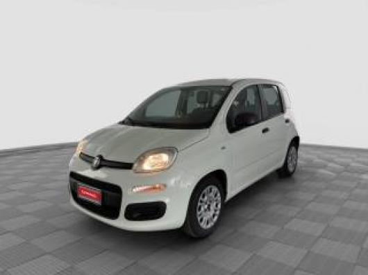 usato FIAT Panda