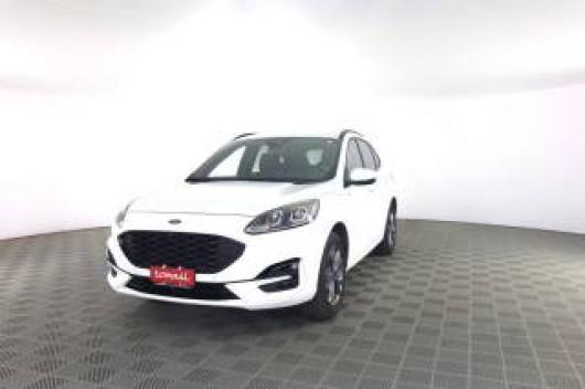 usato FORD Kuga