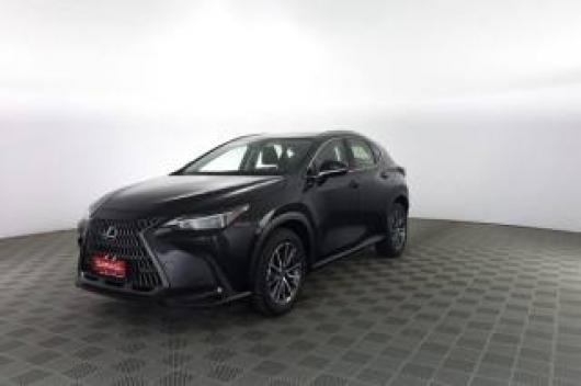 usato LEXUS Altro