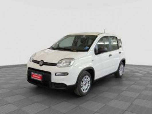usato FIAT Panda