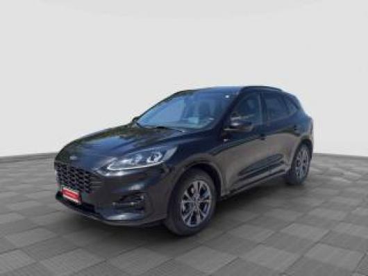 Kuga