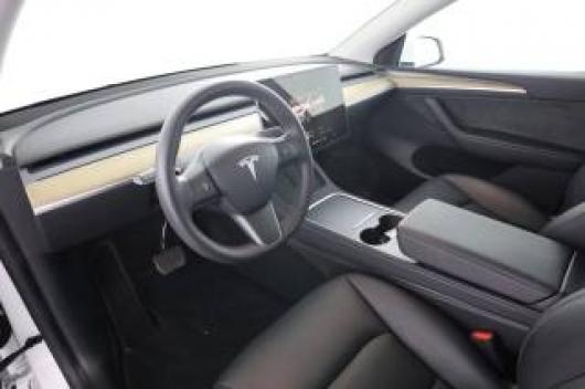 usato TESLA Model Y