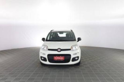 usato FIAT Panda