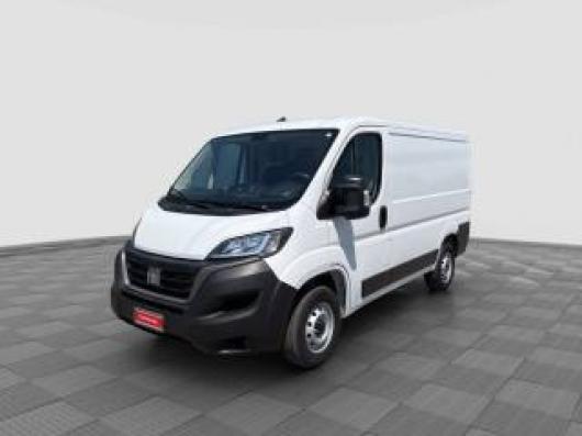usato FIAT Ducato