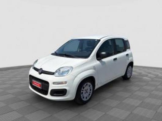 usato FIAT Panda