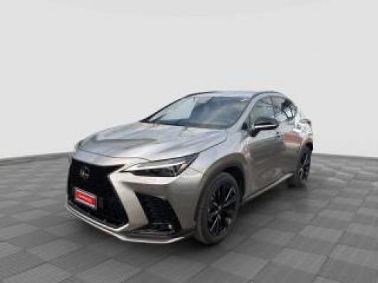 usato LEXUS Altro