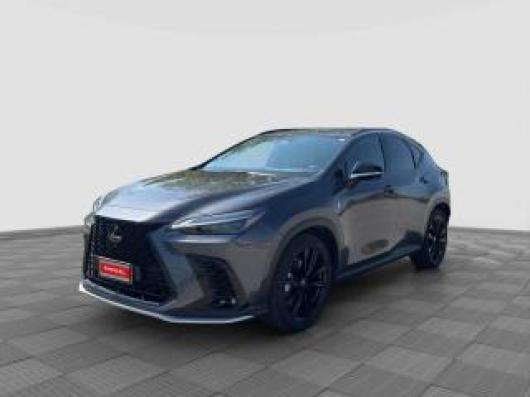 usato LEXUS Altro