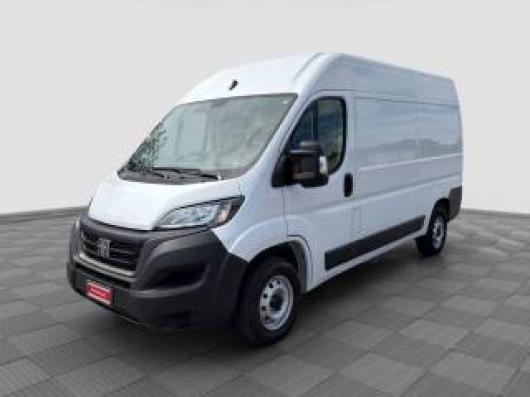usato FIAT Ducato