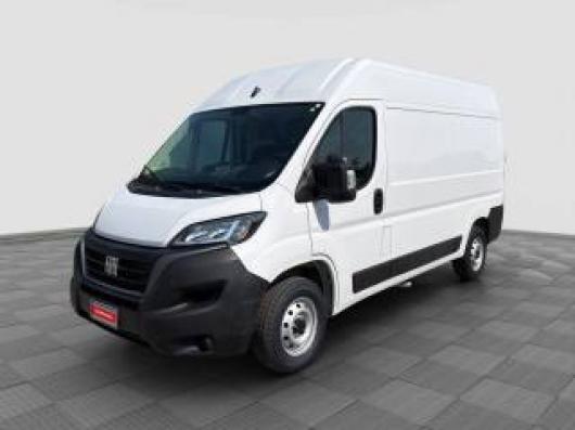 usato FIAT Ducato