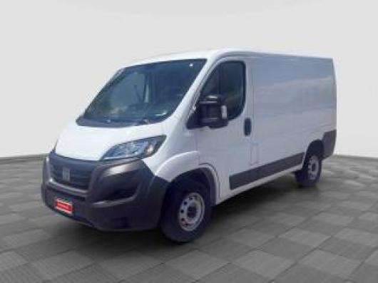 usato FIAT Ducato