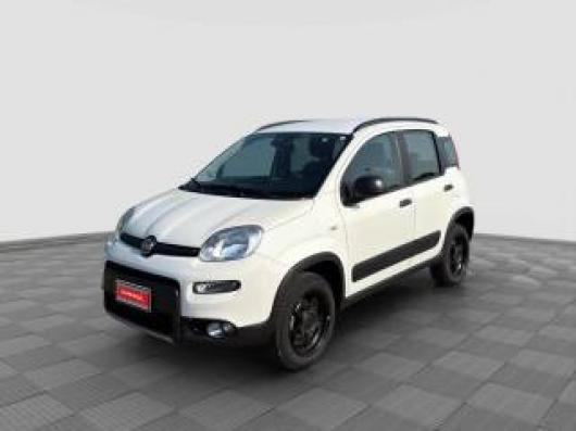 usato FIAT Panda
