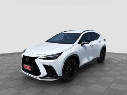 usato LEXUS Altro