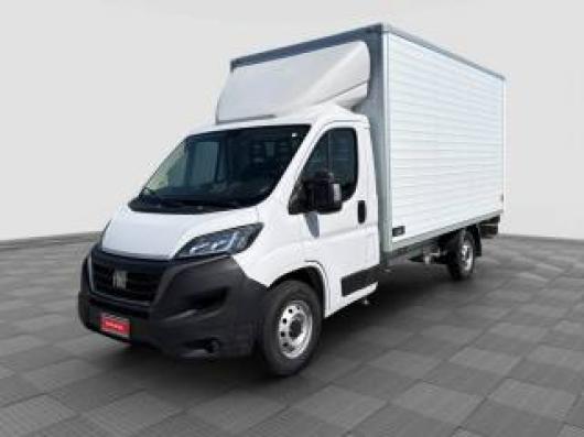 usato FIAT Ducato