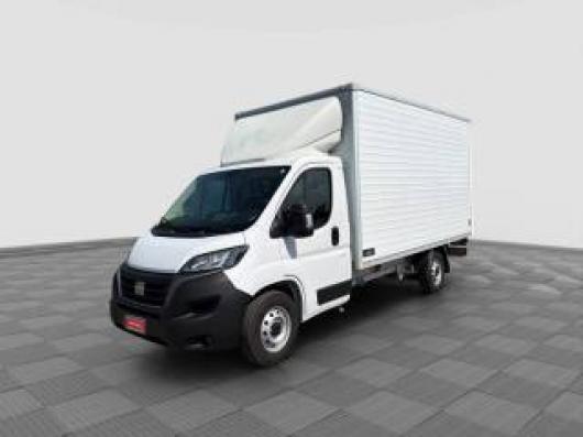 usato FIAT Ducato