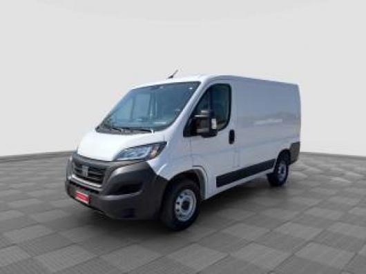 usato FIAT Ducato