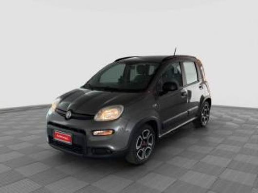usato FIAT Panda