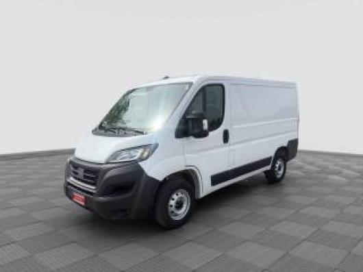 usato FIAT Ducato