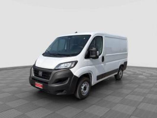 usato FIAT Ducato