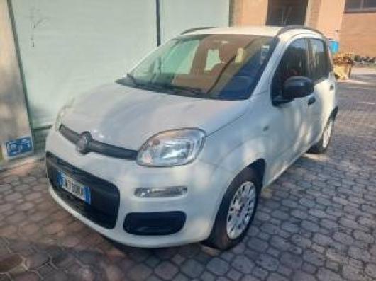 usato FIAT Panda