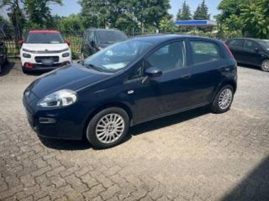 usato FIAT Punto