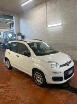 usato FIAT Panda