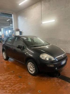 usato FIAT Punto Evo