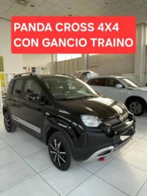 usato FIAT Panda Cross