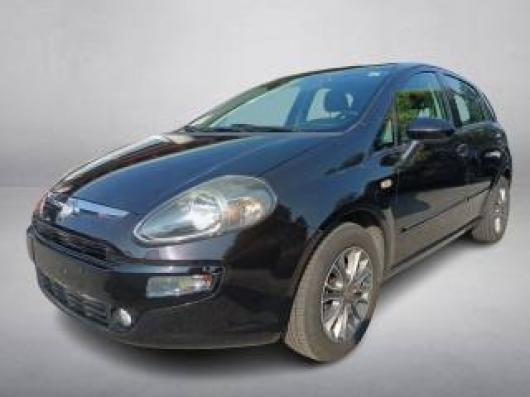 usato FIAT Punto
