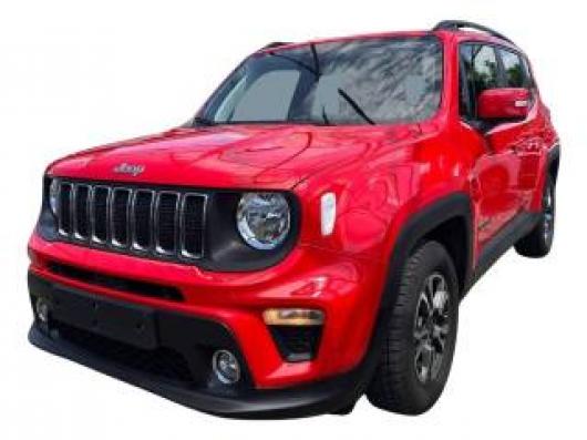 usato JEEP Renegade