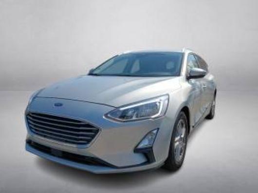 usato FORD Focus