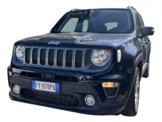 usato JEEP Renegade