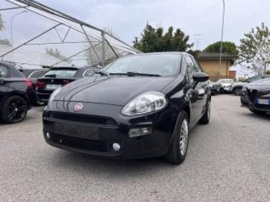 usato FIAT Punto