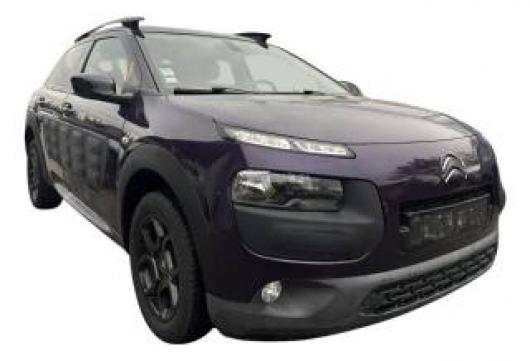C4 Cactus
