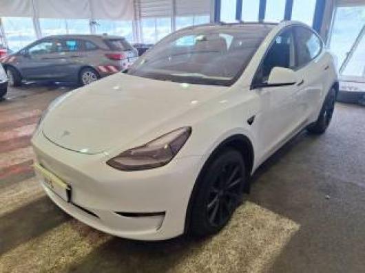 usato TESLA Model Y