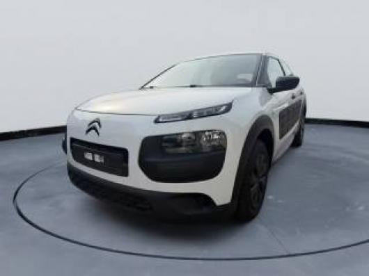 C4 Cactus