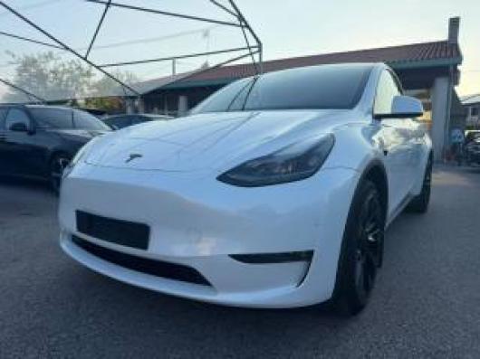 usato TESLA Model Y