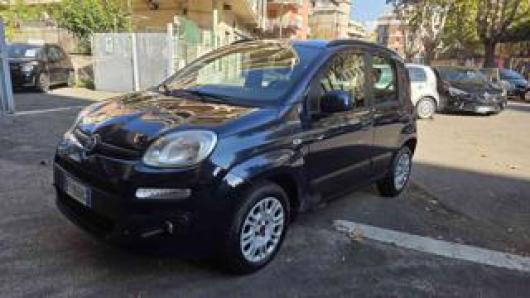 usato FIAT Panda
