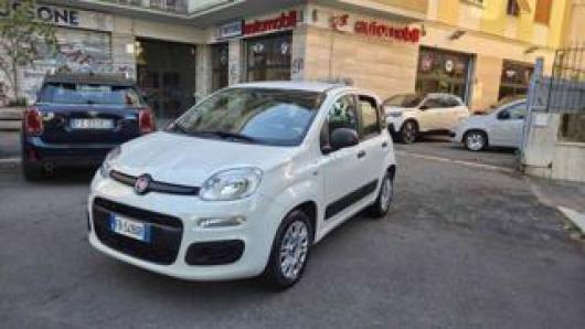 usato FIAT Panda