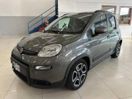 usato FIAT Panda