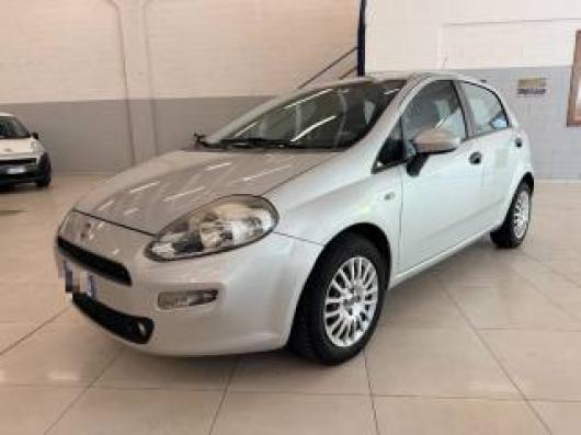 usato FIAT Punto