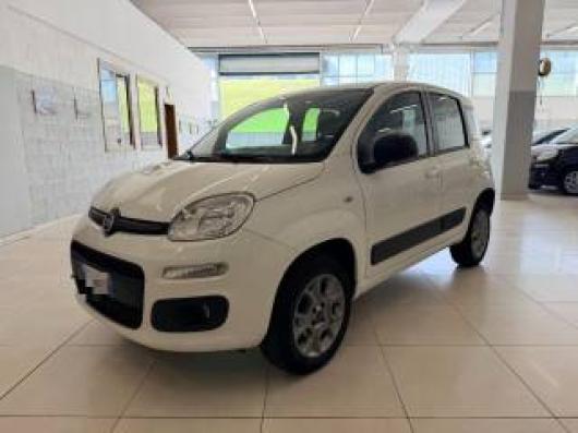 usato FIAT Panda