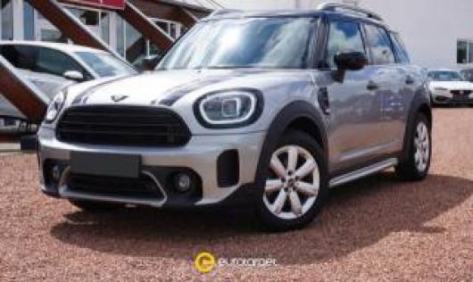 usato MINI Countryman