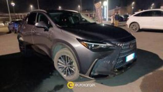 usato LEXUS NX 300