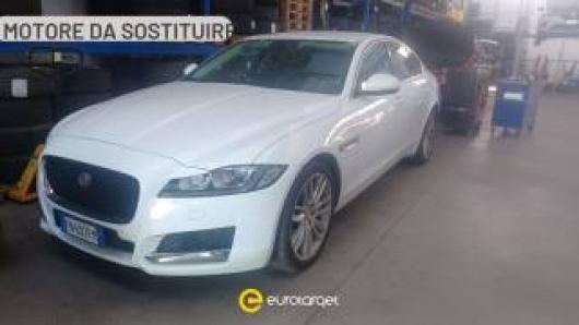usato JAGUAR XF