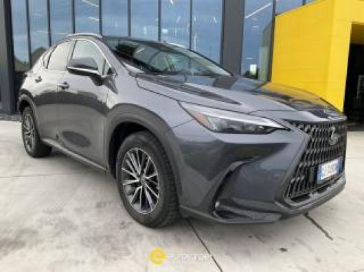 usato LEXUS NX 300