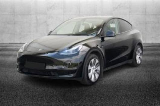 usato TESLA Model Y