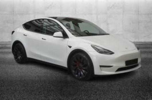 usato TESLA Model Y