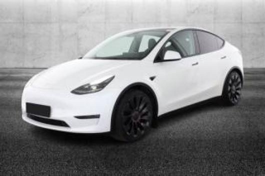 usato TESLA Model Y