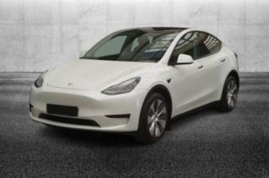 usato TESLA Model Y